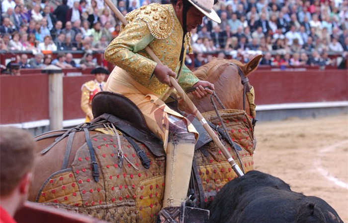 toros_12