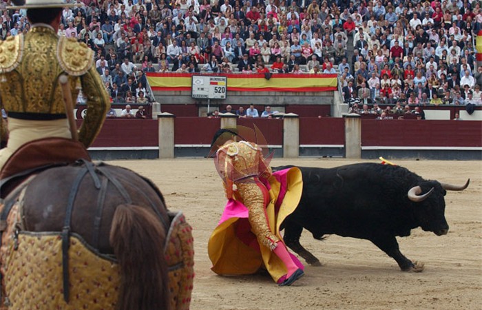 toros_17