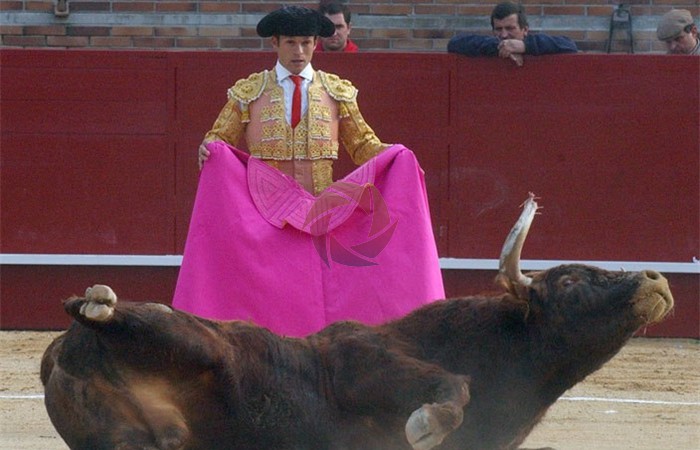 toros_2