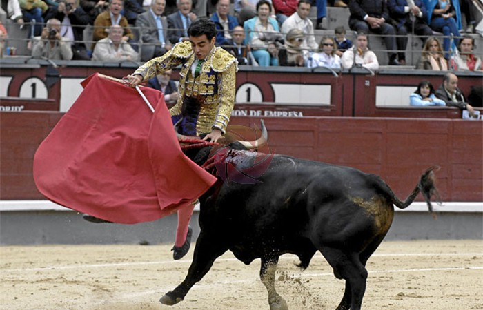 toros_21
