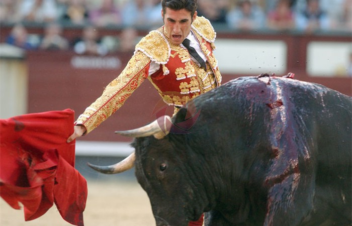 toros_27