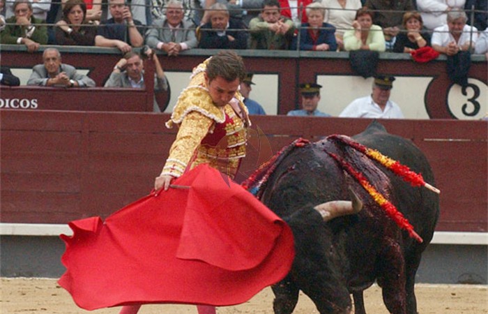 toros_29