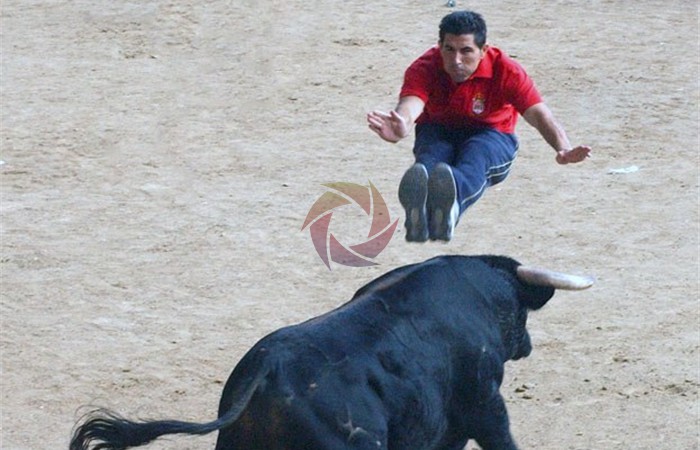 toros_3
