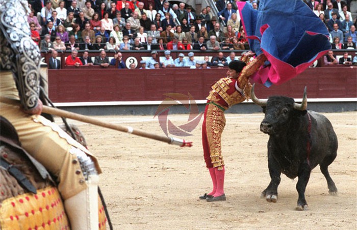 toros_51