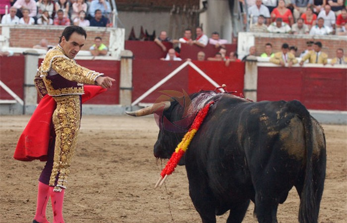 toros_56